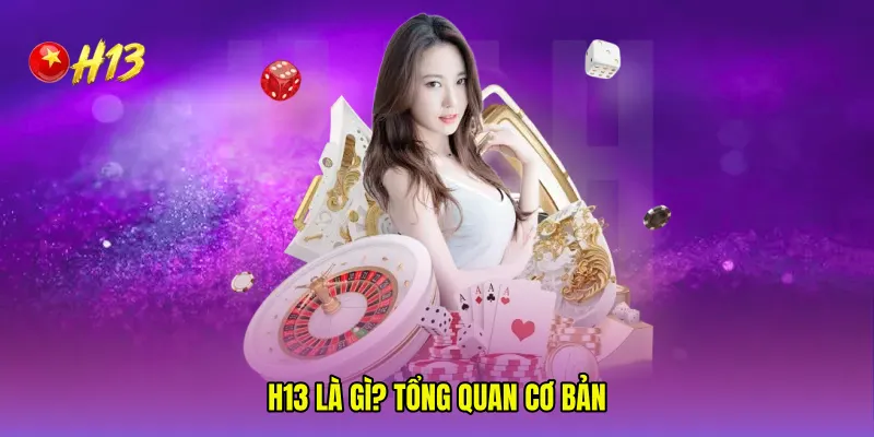 H13 là gì? Tổng quan cơ bản