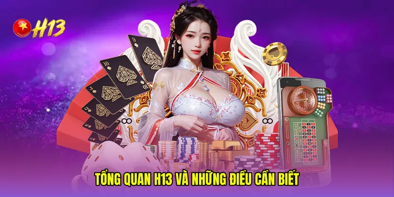 Tổng quan H13 và những điều cần biết